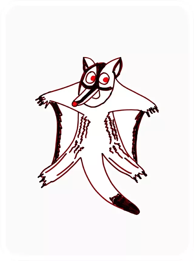 GleefulSugarGlider #4165