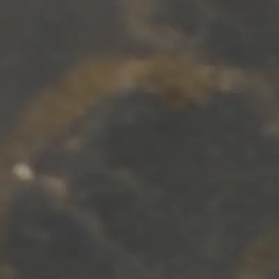 TokenID 1427 #1427