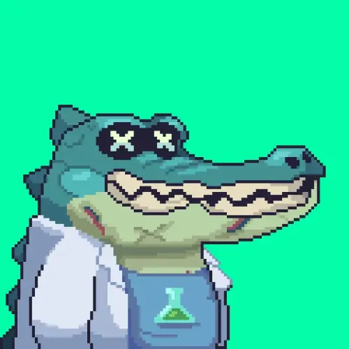 Croc #10035