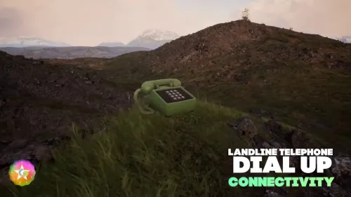 LANDLINE TELEPHONE, CONNECTIVITY #440