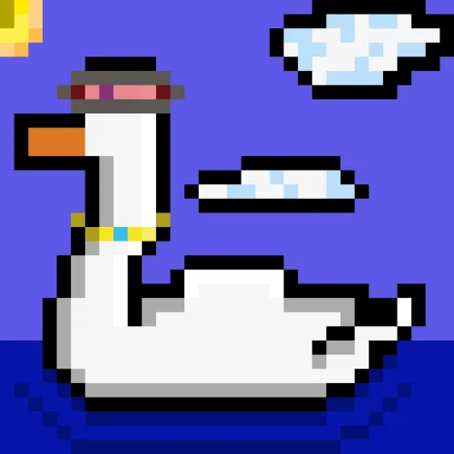 Swimming Swans #949