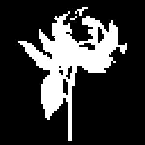 Absence #81