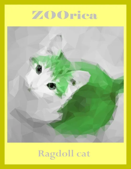 RAGDOLL CAT #2308