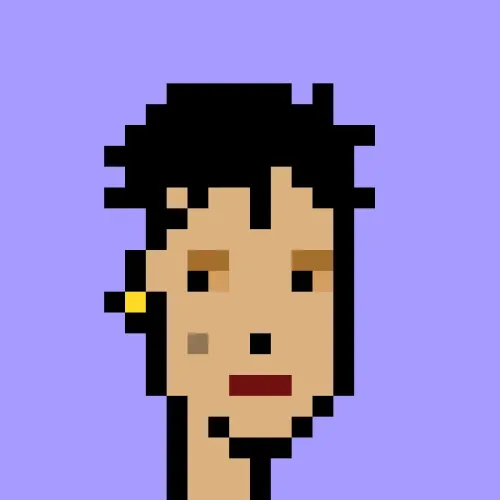 V1 PUNK #8029