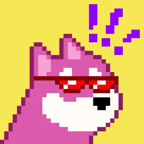 BONK on SOL #4989