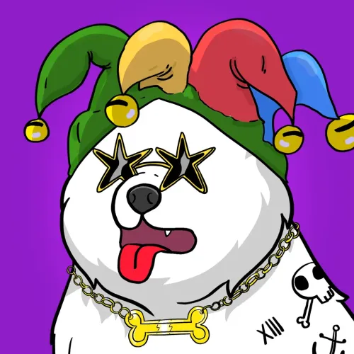 Samoyed #3558