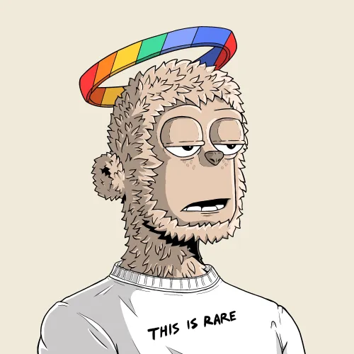 y00t #8570