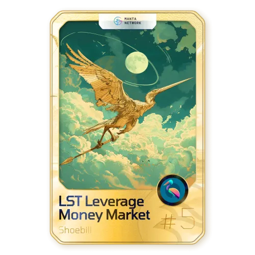 LST Leverage Money Market #9999