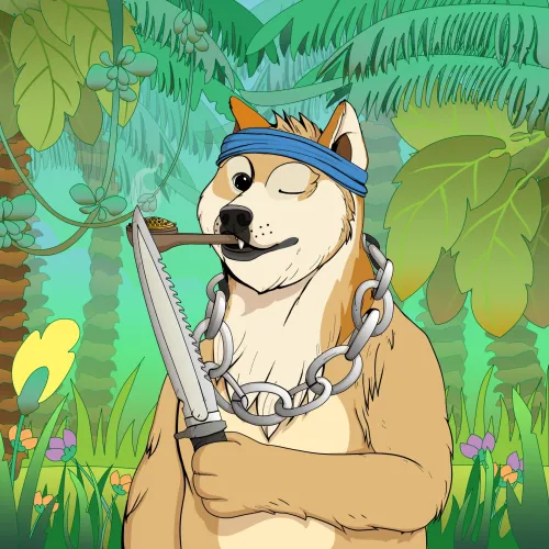 Doge #1866