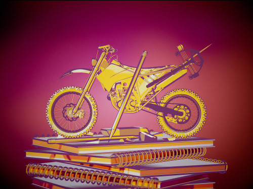 School Bike #3671