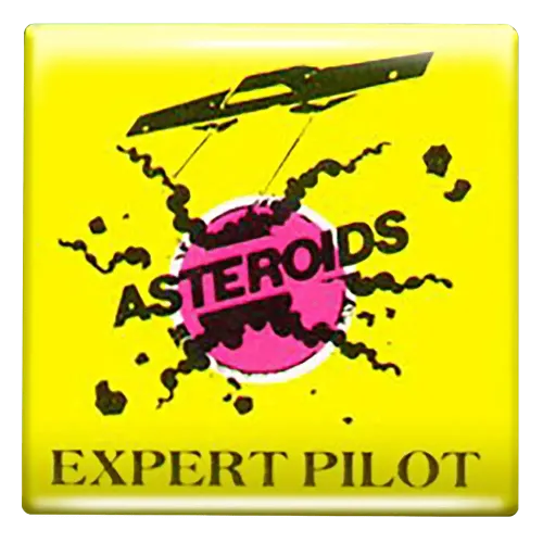 Expert Pilot
