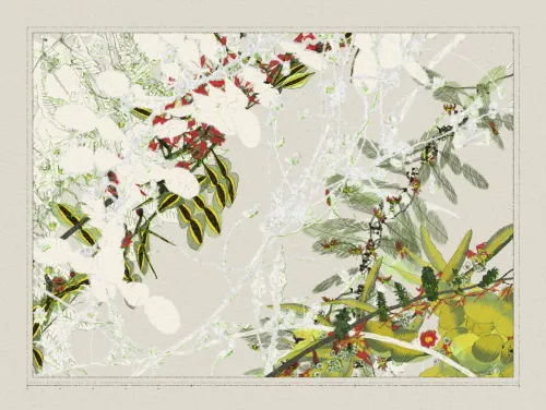 Polypaths | 植徑集 #158