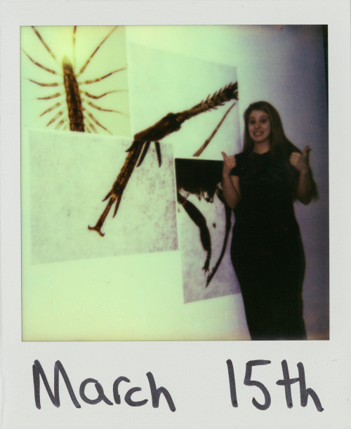 Every Day is a Gift - March 15th