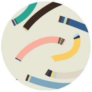 #509