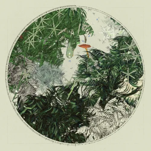 Polypaths | 植徑集 #181
