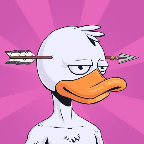 Duck #4842
