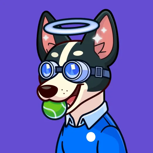 Basenji #2372