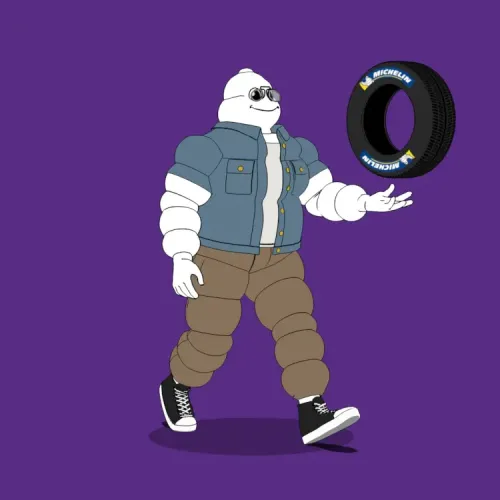 Michelin 3xplorer #345