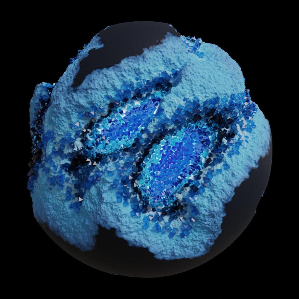 ASM Gen II Brains #11971