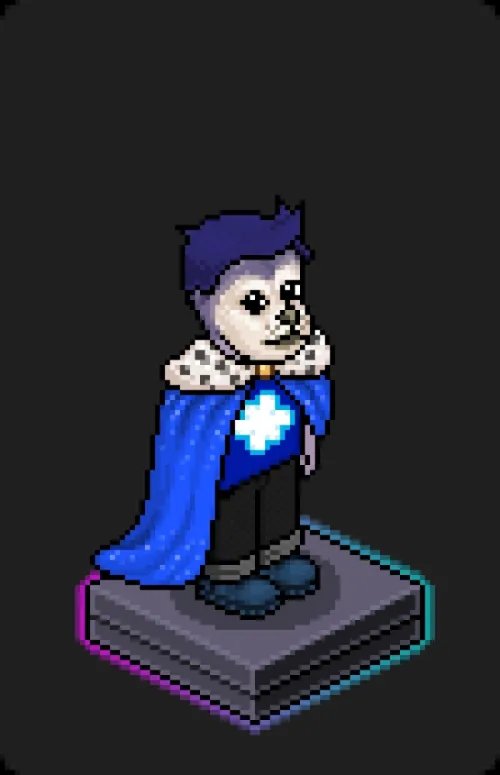 Habbo Crafted Avatar #571