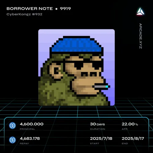 Arcade.xyz Borrower Note #9919