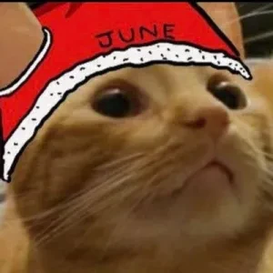 june 🐈