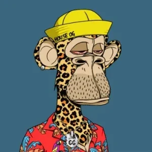 G𝐮𝐜𝐜𝐡𝐞𝐞𝐭𝐚𝐡 🐆🦍
