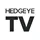 HedgeyeTV