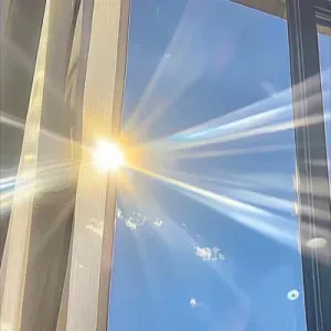 洛淼