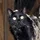 animals going goblin mode