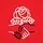 DSA