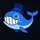Polymarket Whales