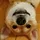 ᴬᵍᵉᵒᶠᵈᵒᵍᵉ