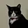 Balder 猫哥