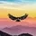 Crypto Raven