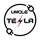 Uncle Tesla