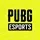 PUBG Esports