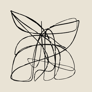 feedsImage