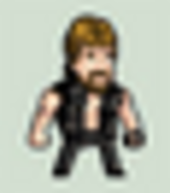 CHUCK•NORRIS•SLAP