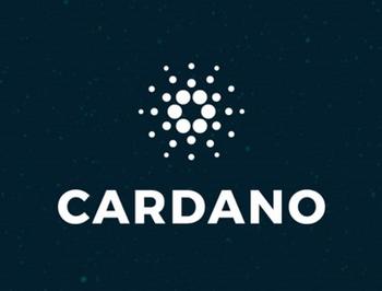CARDANO•GOIN•FOR•NO•ONE