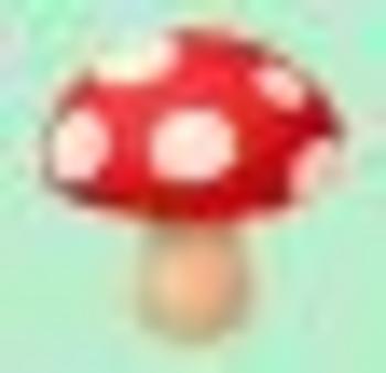 FUNGUS•AMUNGUS
