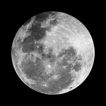 AI•GO•TO•THE•MOON