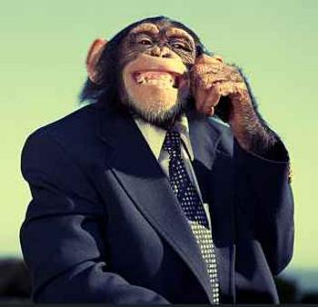 MONKEYS•MONEY•PRESIDENT