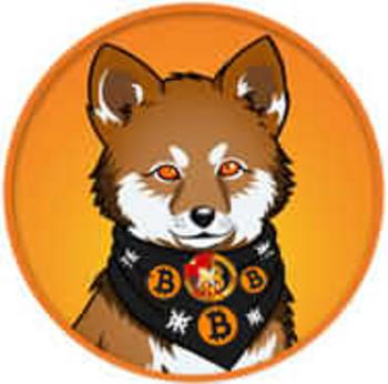 LOBO•THE•WOLF•PUPX