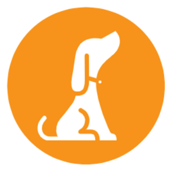 BABY•BITCOIN•DOG