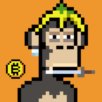 BAYG•RUNE•COINS