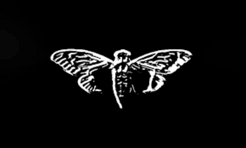 CICADA•THREE•THREE•ZERO•ONE