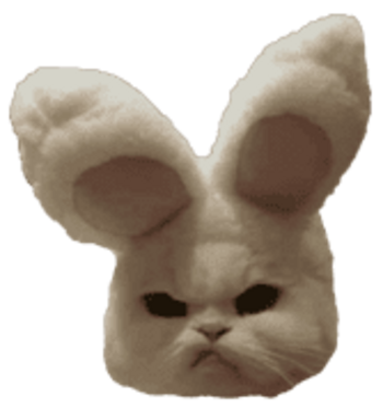 CAT•WIF•BUNNY•EARS
