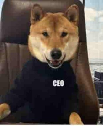 A•DOG•ON•THE•MARS