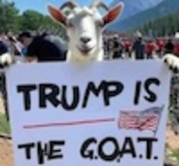 TRUMP•IS•THE•G•O•A•T